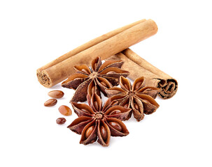 Cinnamon and anise  isolated on white background. Spices closeup.