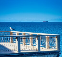 At the pier in Piran