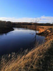 reflection of trees in water
