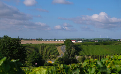 Fototapeta na wymiar Wine region of Germany. View from the vineyard on the road and the village.