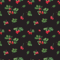 Rose hips, Watercolor pattern on a dark background