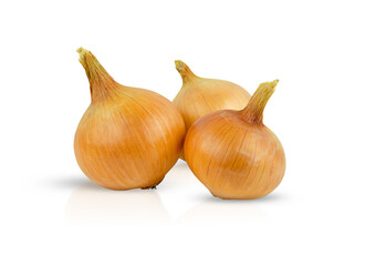 Fototapeta premium Three pieces of ripe onions, isolated on a white background