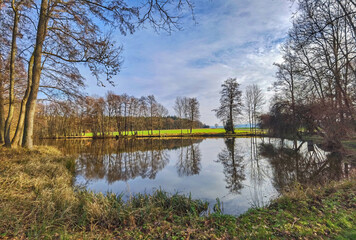 Fototapeta na wymiar Reflections on the pond