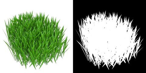 3D rendering illustration of some blades of grass