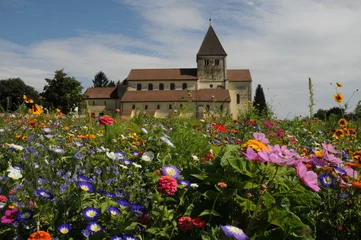 Foto op Plexiglas Reichnau-eiland, kerk van St. George met bloemen © Peter Allgaier