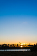 Sunset with pine forest and reservoir and blue sky background. Nature and outdoor background in national park at Thailand