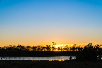 Sunset with pine forest and reservoir and blue sky background. Nature and outdoor background in...