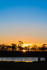 Sunset with pine forest and reservoir and blue sky background. Nature and outdoor background in national park at Thailand