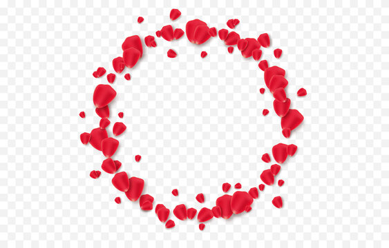 Vector rose petals png. Frame made of petals on an isolated transparent background. Red petals, rose, Valentine's Day, PNG.