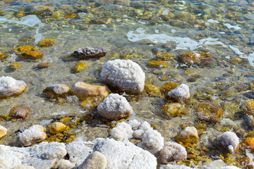 Close up of salt background. Natural salt. Dead Sea salt mineral natural formations. Salt crystals from Dead sea. View of Dead Sea coastline. Texture of Dead sea. Salty seashore