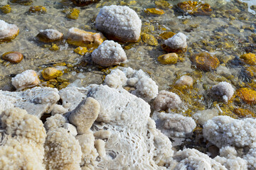 Close up of salt background. Natural salt. Dead Sea salt mineral natural formations. Salt crystals from Dead sea. View of Dead Sea coastline. Texture of Dead sea. Salty seashore rocks
