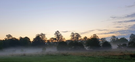 Musty morning sunrise