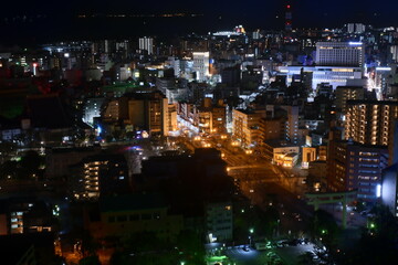 Fototapeta na wymiar 鹿児島の夜景