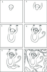 Marmoset monkey drawing instruction and coloring book