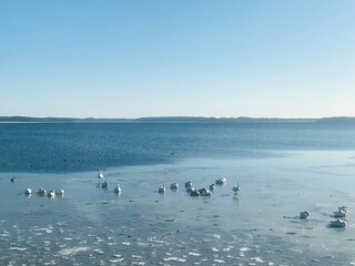 Obraz premium 凍った湖と鳥