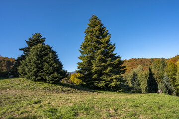 arboretum de L'Aubonne
