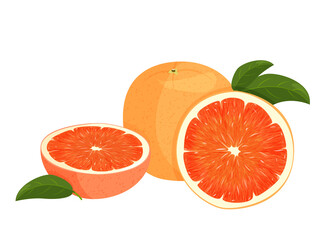 Whole red orange and slice of oranges with green leaves. Vector illustration of oranges isolated on white background.