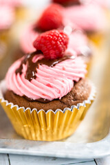 Chocolate raspberry cupcakes