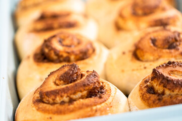 Cinnamon rolls