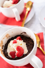 Chocolate mug cake