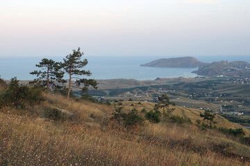 coast trip