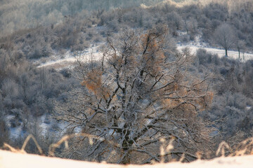 winter in the Ukrainian Carpathians during the coronavirus