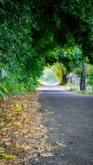 Fototapeta premium path in a single way road