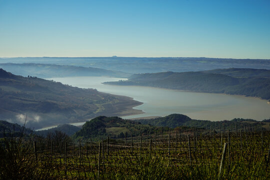 Corbara lake and vineyards in a winter morning, Orvieto, Titignano, Umbria, Italy