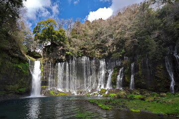 春が待ち遠しい白糸の滝