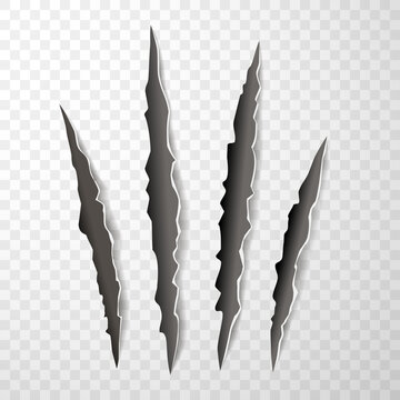 Animal Claw Paw Marks, Scratches, Talons Cuts Cat, Tiger, Dog, Lion, Monster Isolated. Vector Realistic Illustration.