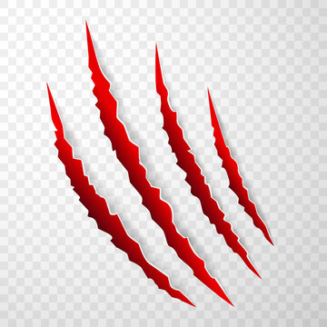 Red animal claw marks, scratches, talons cuts cat, tiger, dog, lion, monster isolated. Vector realistic illustration.