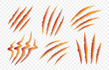Set of orange animal claw marks, scratches, talons cuts cat, tiger, dog, lion, monster isolated on white background.