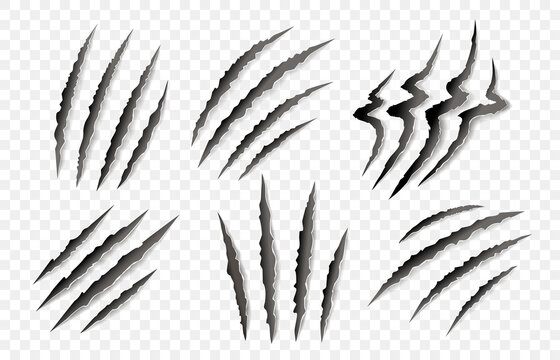 Set of animal claw paw marks, scratches, talons cuts cat, tiger, dog, lion, monster isolated