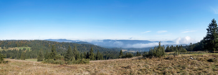 Ibach im Hotzenwald zwischen Sankt Blasien und Todtmoos im Hotzenwald im Naturpark Südschwarzwald. Blick vom Ibacher Friedenskreuz und Panoramaweg