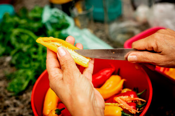 Mãos femininas cortando uma pimenta