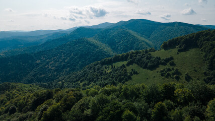 Mountains forest from a height landscape