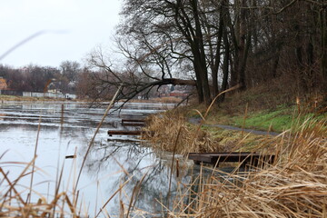 Bank of the river in winter, a place for fishing