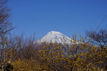 There is snow on the ground