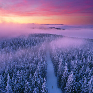 Nebel über dem Thüringer Wald