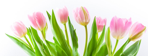 Fototapeta Blumenstrauß aus rosafarbenen Tulpen obraz