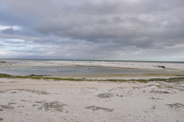 beach in the morning