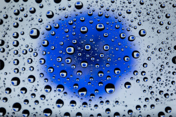 Blue flower with water drops. Blurred background.