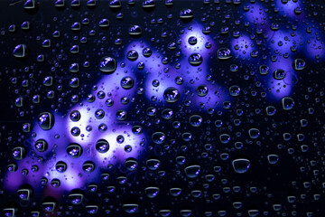 Flowers by drops of water. Blurred background.