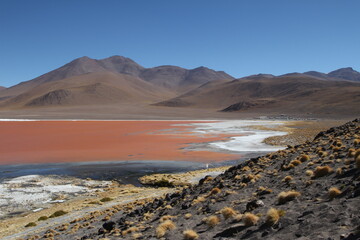Red lagoon