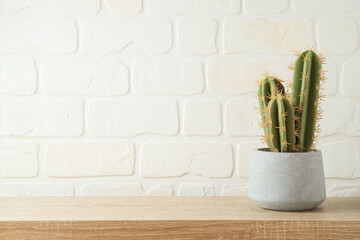 Empty wooden shelf with cactus over brick wall background. Kitchen mock up for design