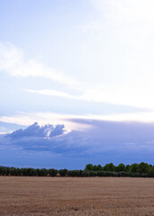 rural landscape of dry land typical of farmers during a cloudy day.