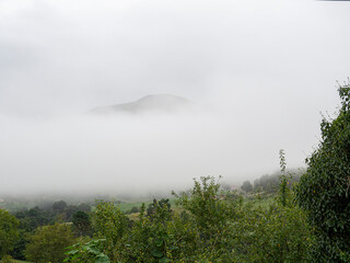 Paisaje con niebla blanca , una montaña escondida y hierbas verdes en primer plano, en verano de 2020, España.