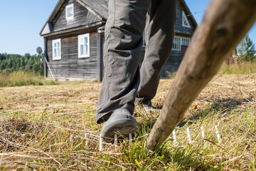 Leg of a careless, inattentive man steps on a rake, which can lead to injury, against the backdrop of a village house and yard, 