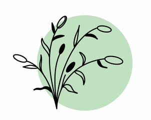 elegant twig and flower black outline. Element for design. Botanical floral element for creating invitations or greetings for spring holidays or wedding. Vector illustration