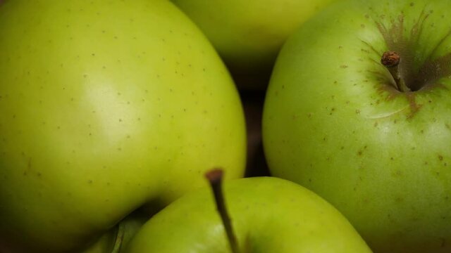Four green apples, macro video. Apples of the Reinette Simirenko variety.
